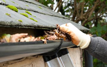 gutter cleaning Nyland, Somerset